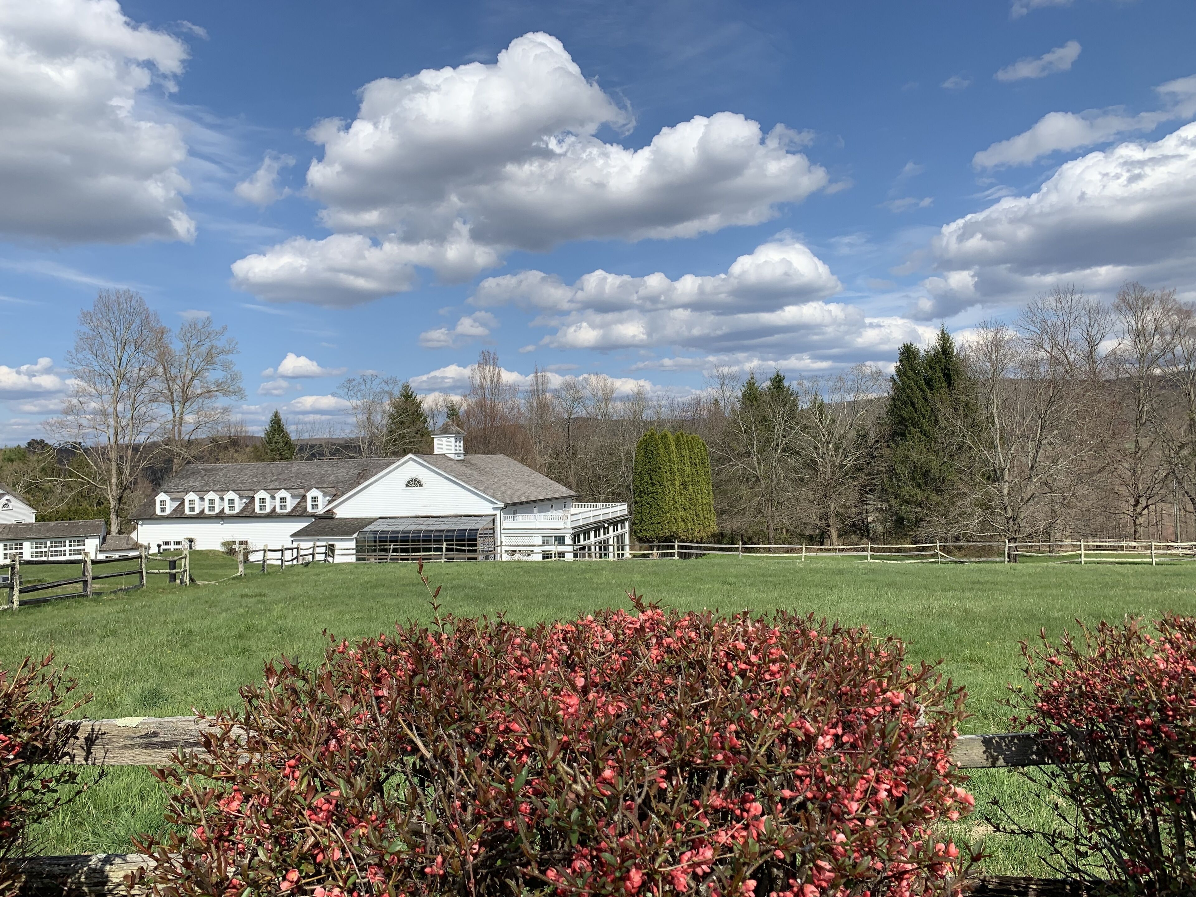 Country Living at its best in this Sharon Estate with indoor pool*