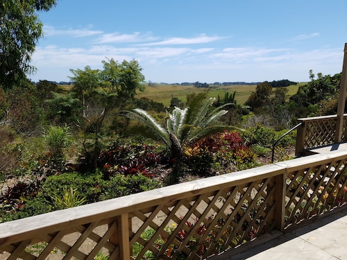 Téaluca 'Real Far North Escape' 