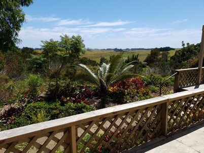 Téaluca 'Real Far North Escape' 