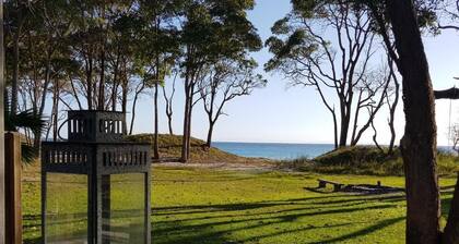 Jätti Cowan Cowanissa