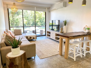 电视、DVD 播放器