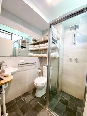 Secador de pelo, toallas, champú y papel higiénico