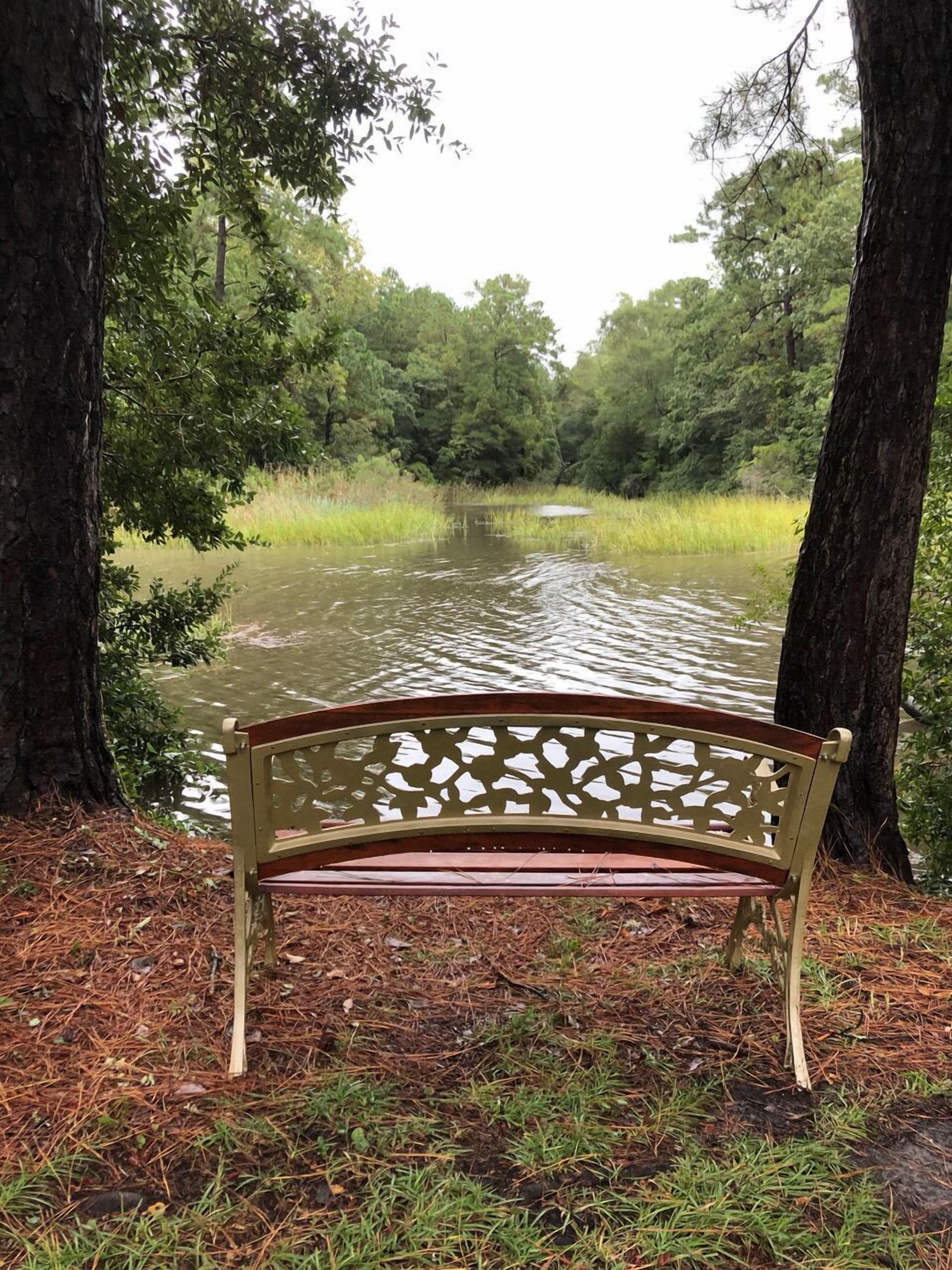 A bench overlooking a calm river surrounded by trees.