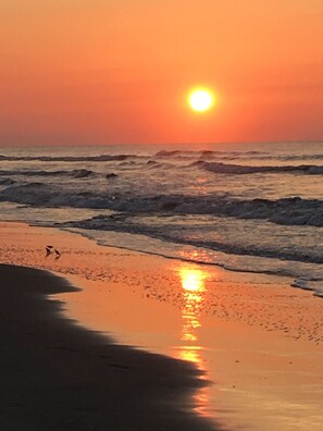 Una spiaggia nelle vicinanze, lettini da mare, teli da spiaggia