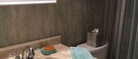 A bathroom with a sink, mirror, towel rack, toilet, and shower curtain.