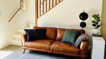 Télévision, lecteur de DVD, jouets, livres