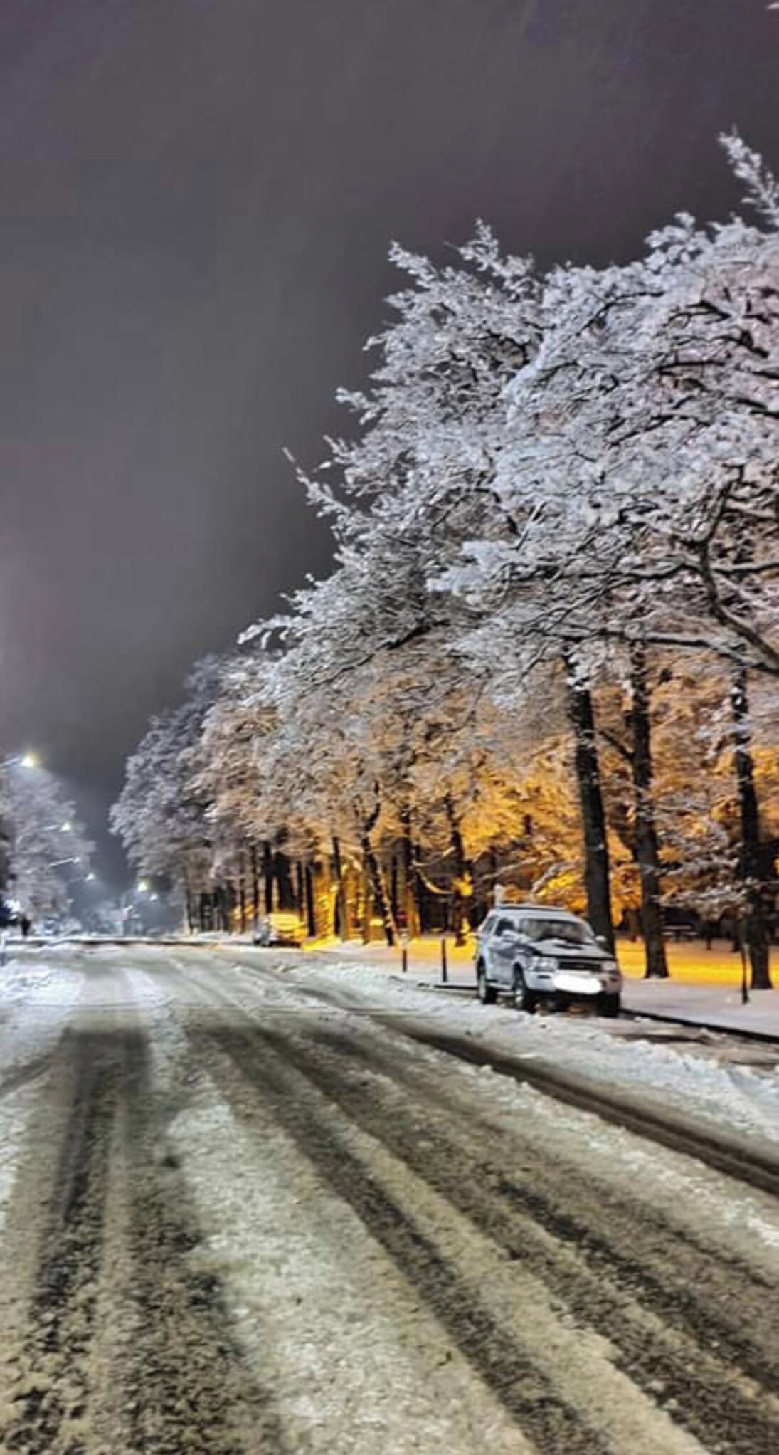 A snow-covered street at night with trees and a parked car.