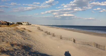 2nd Fl rannalla sijaitseva panoraamanäköala merelle nukkuu 12 lemmikkieläintä