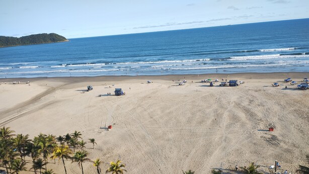 A beach with palm trees, a sandy shore, and a calm sea.