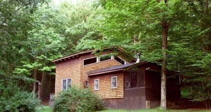PA Wilds Mtn Cabin, 8 pvt acres in state forest, near Elk Herd & 2 State Parks