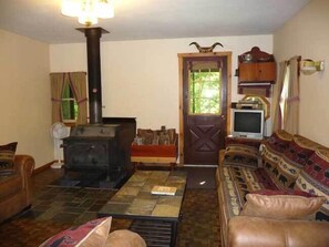 Smart TV, fireplace, DVD player, books - PA Wilds Mtn Cabin, 8 pvt acres in state forest, near Elk Herd & 2 State Parks  (Penfield)
