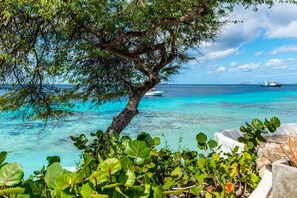 Blick auf ein blaues Meer mit Schiffen in der Ferne, gesäumt von Bäumen.