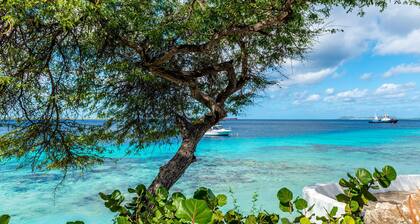 Oceanfront Villa, great house reef, near dive shops, restaurants, sleeps 4