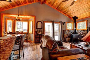 Smart TV, chimenea, reproductor de DVD y libros 