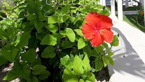 A white building with a covered walkway and lush green plants. - Bayfront 1BR Apt - Central Location & GREAT Rates! (Governor`s Harbour)
