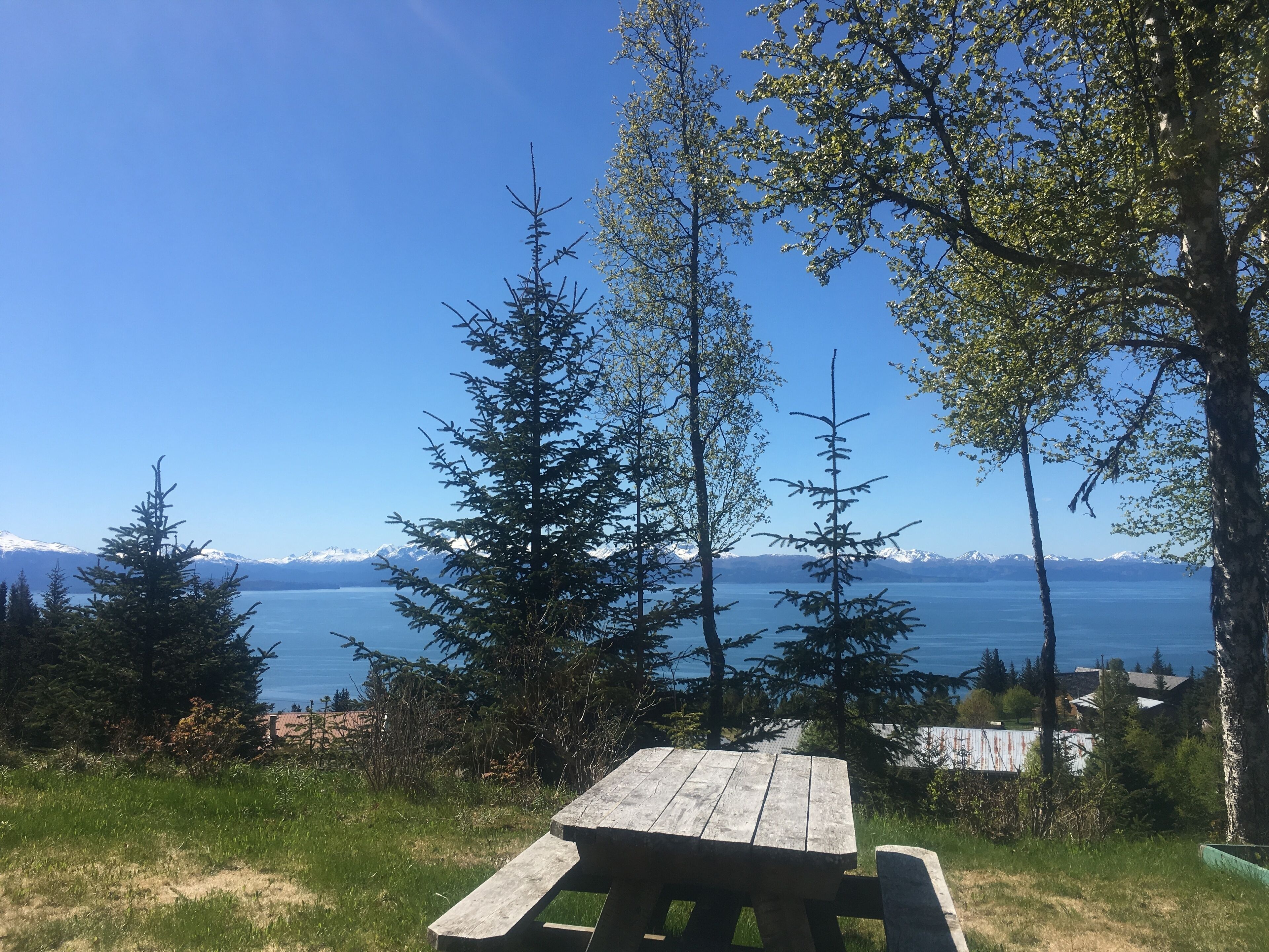 View from picnic table