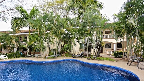 Una piscina circondata da palme e lettini, con un edificio sullo sfondo.