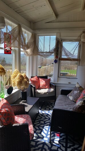 Smart TV, fireplace, DVD player, books