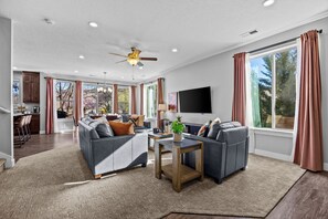 Smart TV, Netflix, books, streaming services