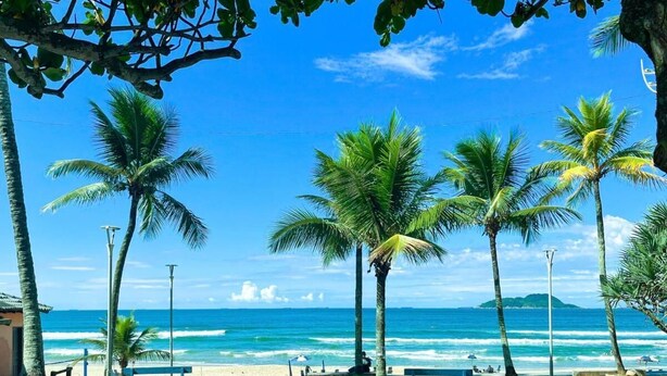 Une plage bordée de palmiers, un ciel bleu azur et l’océan en toile de fond.