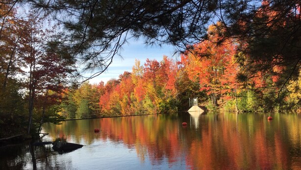 A tranquil lake surrounded by autumn-colored trees, a dock, and a small bridge. - Adirondack Cottage - Four Season, Pet-Friendly, Cozy & Beautiful. Read  reviews! (Lowville)