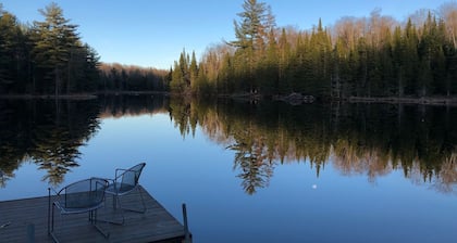 Adirondack Cottage - Four Season, Pet-Friendly, Cozy & Beautiful. Read reviews!