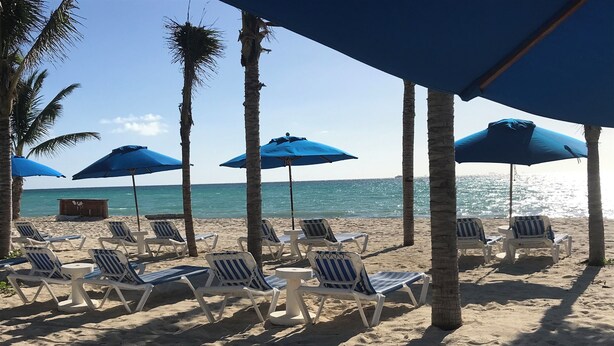 Ein Strand mit weißen Liegestühlen und blauen Sonnenschirmen, Palmen und freiem Blick auf das Meer.