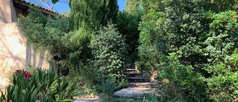 Parco della struttura