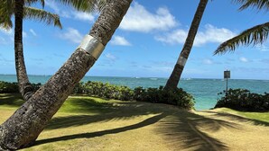 Eine tropische Strandszene mit Palmen, blauem Himmel und dem Meer im Hintergrund.