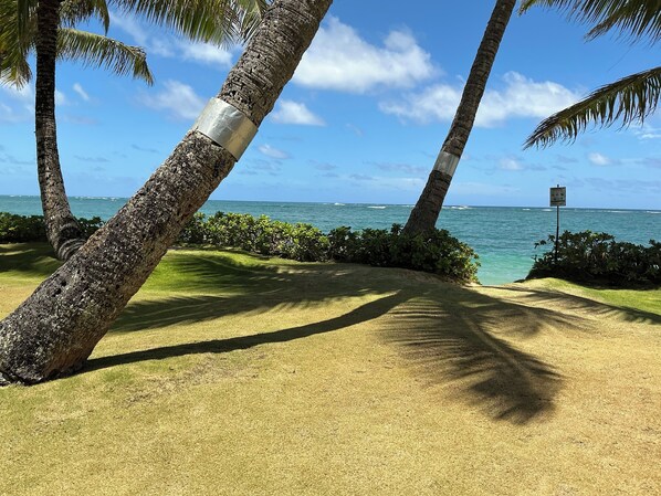 Terrain de lâhĂ©bergement
