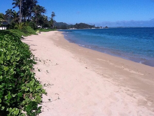 On the beach, sun loungers, beach towels