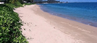 An Absolute, Perfect Paradise and Affordable