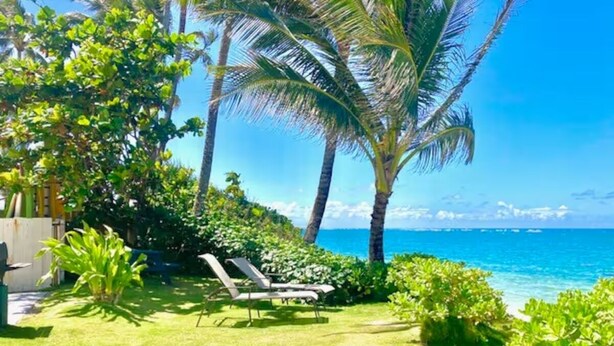 Ein tropischer Garten mit Pool, Palmen und Blick auf das Meer.