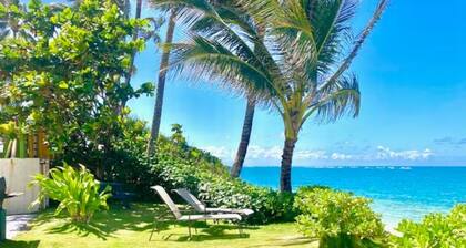 An Absolute, Perfect Paradise and Affordable