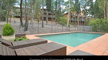 Relax by the communal pool surrounded by lush greenery and comfortable lounge chairs.