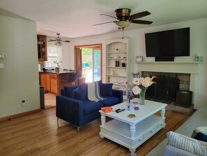 Smart TV, fireplace, books