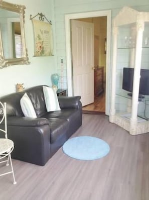 TV, DVD player, books, video library