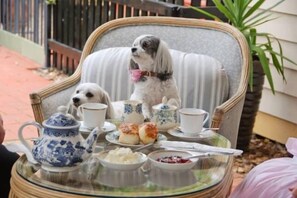 Een hond zit op een stoel aan een tafel gedekt voor thee, met een theepot, kopjes en gebak.