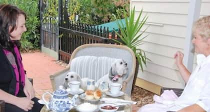must love dogs B&B garden suite
