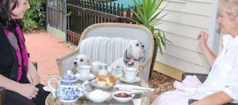 must love dogs B&B garden suite