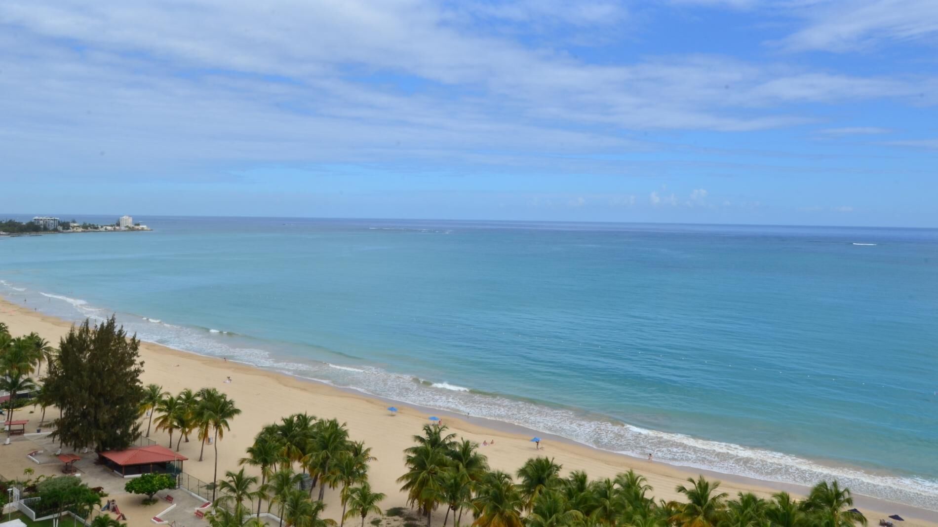 Een strand met helderblauw water, een zandstrand en palmbomen.