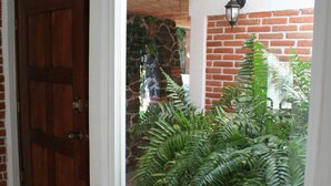 A wooden door leading to a tiled area with a large green plant.