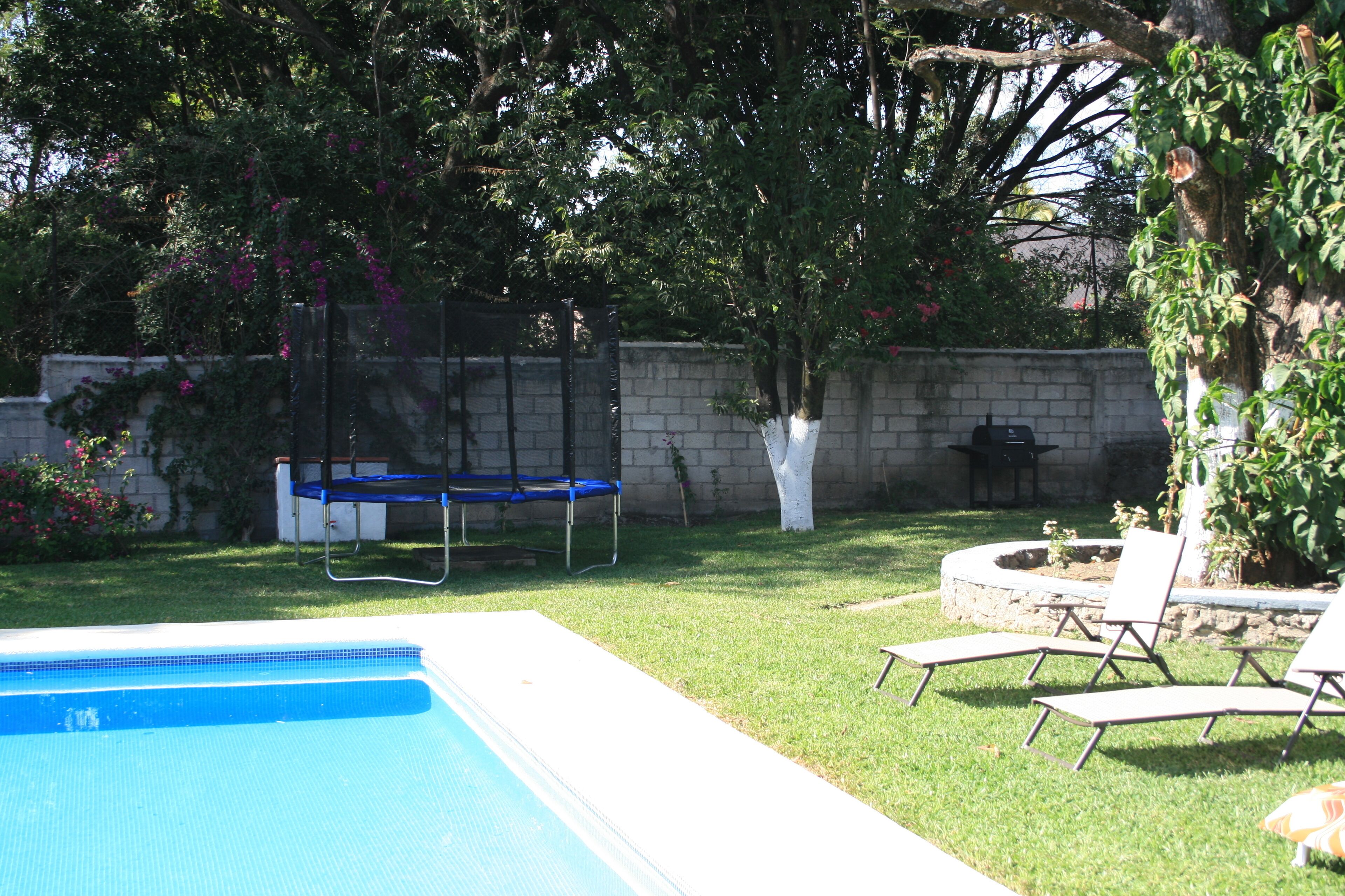 A swimming pool with a trampoline and lounge chairs in a backyard with a brick wall and trees.
