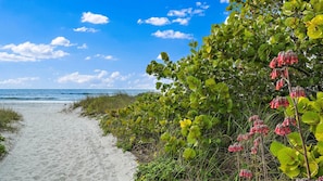 Uma trilha de areia que leva ao oceano, rodeada por vegetação densa e flores cor-de-rosa.