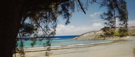 Nær stranden, solsenger og strandhåndklær