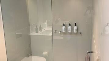 Shower, hair dryer, towels, toilet paper