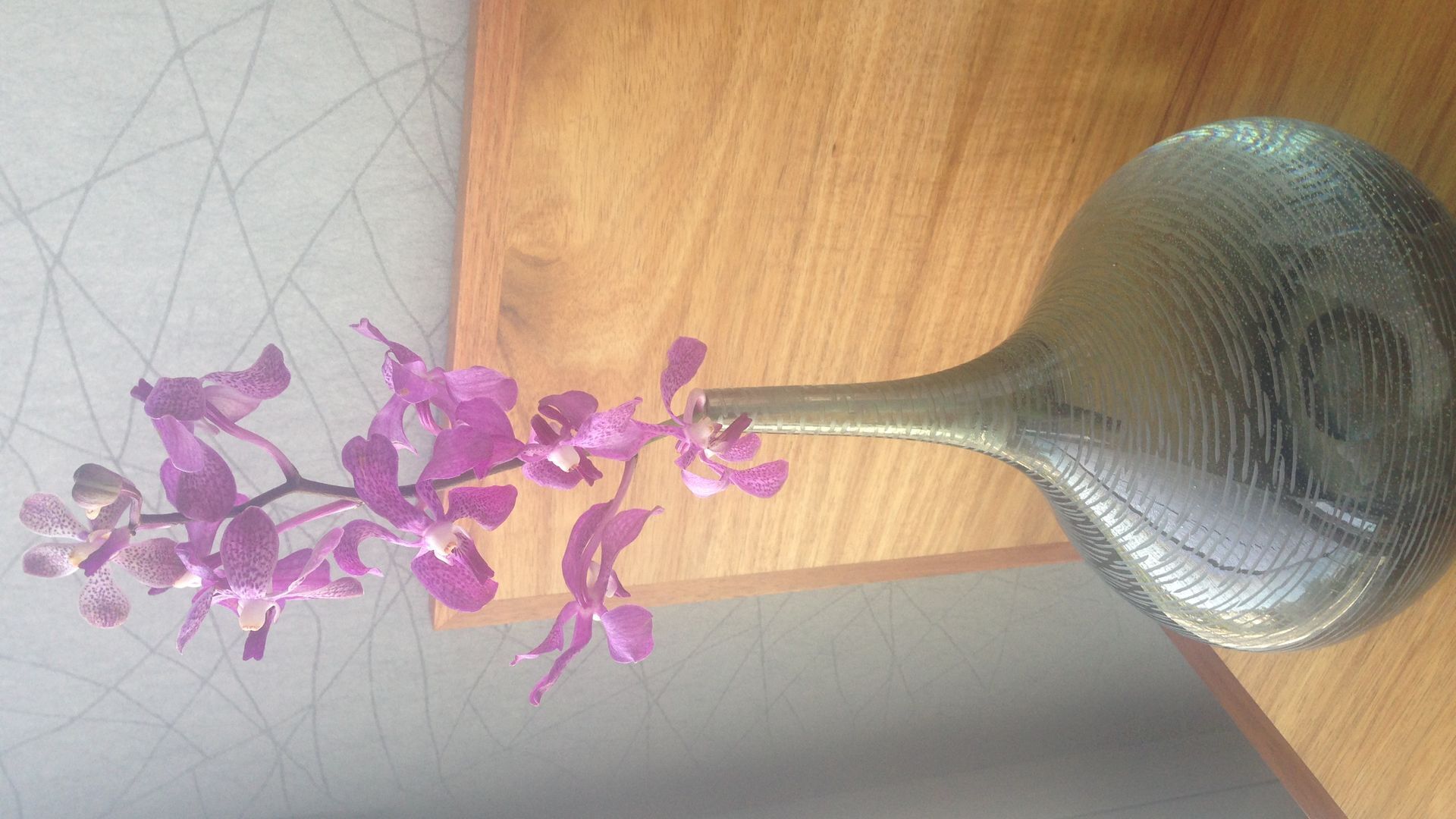 The Quarry House Luxury Retreat (Alcorso suite) — image 15