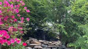 Un jardin agrémenté d’une cascade en pierre, d’un feuillage verdoyant et luxuriant, et de fleurs roses éclatantes.