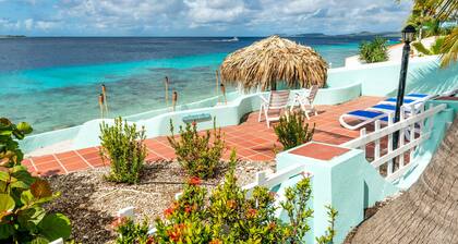 Spacious Oceanfront Villa, private beach and water access, accommodates 12