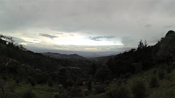 Land view from property